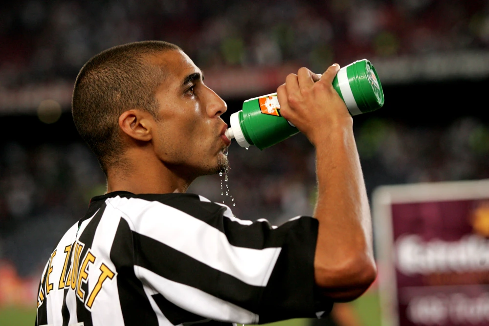 David Trezeguet, Juventus